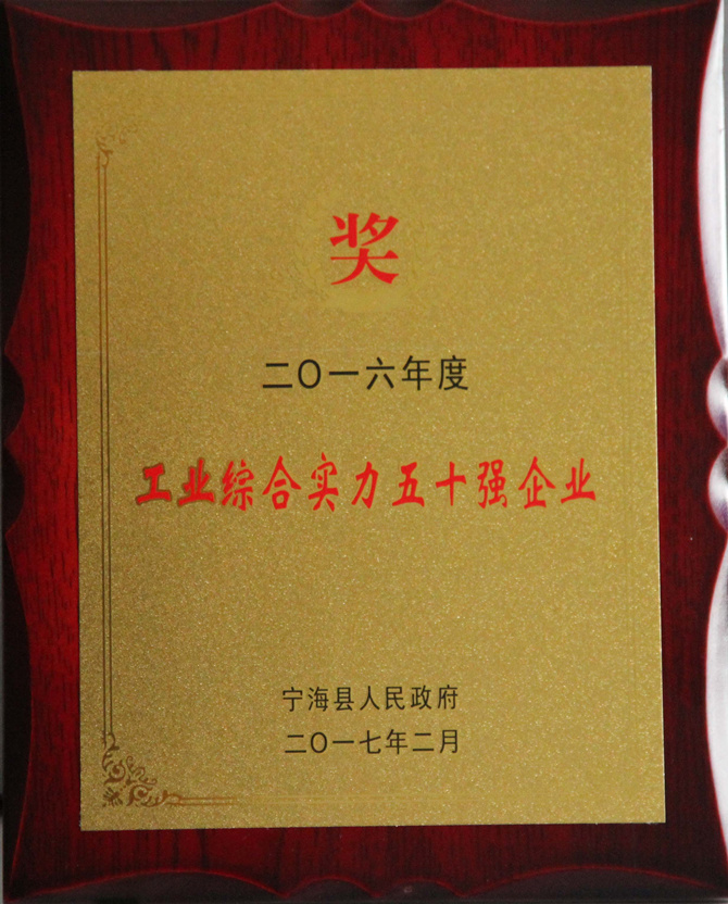 華寶公司榮獲“2016年度寧?？h工業(yè)綜合實力五十強(qiáng)”
