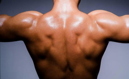 锻炼肩部的肌肉,借助哑铃可以更好地进行,这几个动作比较常用